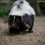 Frühstück im Tiergarten Halberstadt © Tiergarten Halberstadt