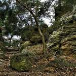 Altenburg Felsen [(c) Stefan Herfurth]