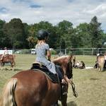 40. Tiergartenfest
