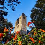 moritzkirche darya bondar5