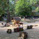 40. Tiergartenfest [(c) Stadtmarketing/Öffentlichkeitsarbeit]
