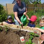 Gartenarbeit wird gern erledigt © Kita Holzbergwichtel