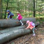 Waldtag © Kita Holzbergwichtel