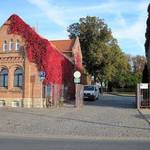 (c) Friedhofsverwaltung Halberstadt