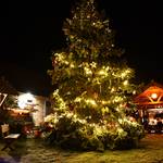 (c) Stadt Halberstadt, Pressestelle