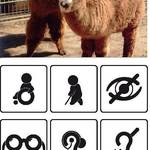 behindertenfuehrer seite 17 tiergarten