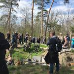 Medingschanze seite 42 medingschanze klein