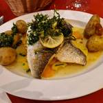 406184001 669259715398546 4616359557400637641 n