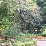 Natur_2