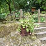 Natur_1