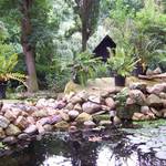 Natur_3