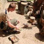 Tierpfleger/in Fachrichtung Zoo img 8312