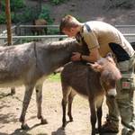 Tiergarten Halberstadt img 8396