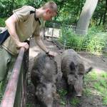 Tiergarten Halberstadt img 8356