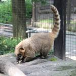 Tiergarten Halberstadt img 8344