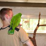 Tiergarten Halberstadt img 8324