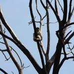 Tiergarten Halberstadt img 8320