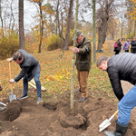 Ein besonderer Höhepunkt war die Pflanzung einer neuen Linde in der historischen Lindenallee am Sams-tag. ©Jeannette Schroeder