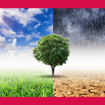 Klimastammtisch- der Stadt Halberstadt