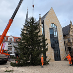 Weihnachtsbaum am Rathaus der Stadt Halberstadt aufgestellt ©Jeannette Schröder Weihnachtsbaum am Rathaus der Stadt Halberstadt aufgestellt ©Jeannette Schröder