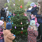 PM   Weihnachtsbaumschmücken im Tiergarten