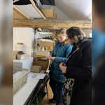 Archäologin Caroline Janick prüft im Museumsdepot den archäologischen Sammlungsbestand Archäologin Caroline Janick prüft im Museumsdepot den archäologischen Sammlungsbestand