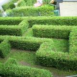 KITA_Bummi_Irrgarten