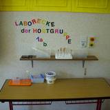 HORT_Bummi_Laborecke