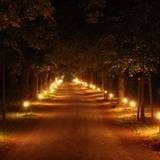 Lindenalle bei Nacht