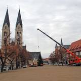 Und da steht er - der Weihnachtsbaum auf dem Domplatz von Halberstadt
