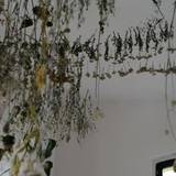 Kunstverein Röderhof | Künstlerin: Verena Hahn - Foto: Caroline Bellmann