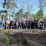 Die Halberstädter pflanzten am 12. April über 1200 neue Bäume ©Stadt Halberstadt