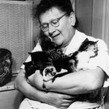 Margarete Schraube mit ihren Katzen, 1962 ©Museum Halberstadt – Schraube-Museum Margarete Schraube mit ihren Katzen, 1962 ©Museum Halberstadt – Schraube-Museum