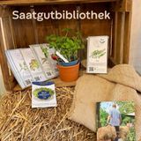 In diesem Jahr kann wieder Saatgut in der Halberstädter Stadtbibliothek ausgeliehen werden &copy;Maria Schmidt