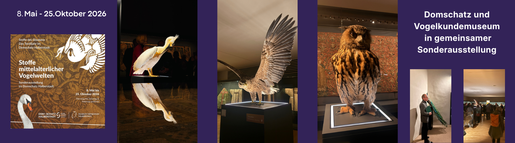 pm slider sonderausstellung stoffe dom heineanum
