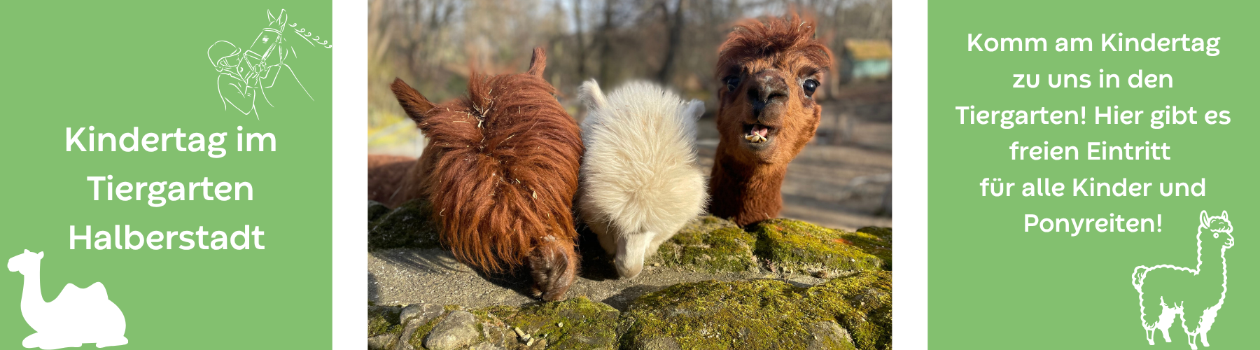 kindertag im tiergarten halberstadt