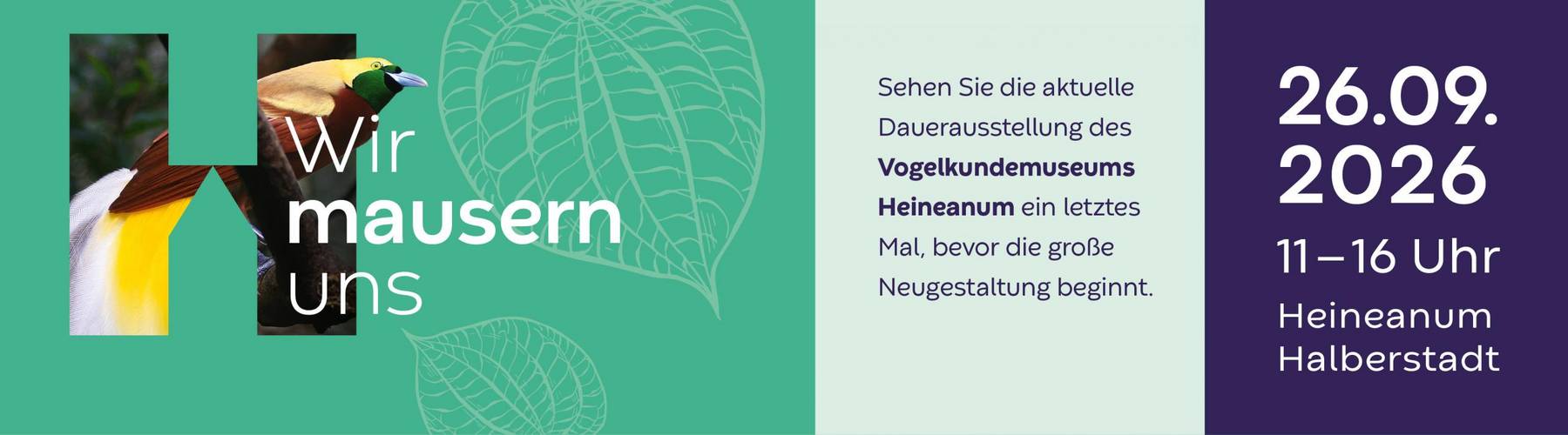 hei hbs webheader