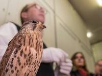 Chefvisite im Vogelkundemuseum