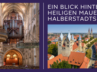 Ein Blick hinter die heiligen Mauern Halberstadts