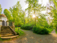 Natur und Genuss in den Spiegelsbergen