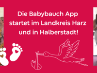 Zwischen Brockenblick und Babyglück