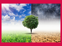 Neu - Klimastammtisch