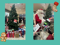 Der Wunschweihnachtsbaum in Halberstadt wird eröffnet