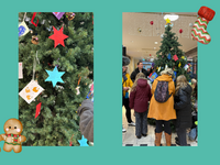 Halberstädter Wunschweihnachtsbaum eröffnet