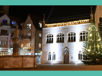 Der Halberstädter Weihnachtsmarkt 2025