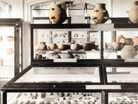 Sonderveranstaltung am 7. Dezember Von Scherben, Knochen und Steinwerkzeugen