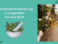 R&auml;ucherkr&auml;uterwanderung in Langenstein