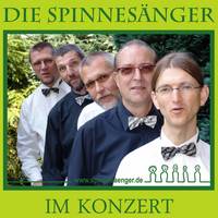 Die Spinnesänger im Konzert