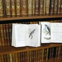 Heineanum Bibliothek
