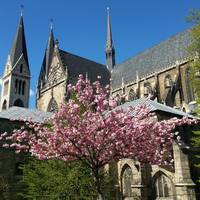 Halberstädter Dom im Frühjahr